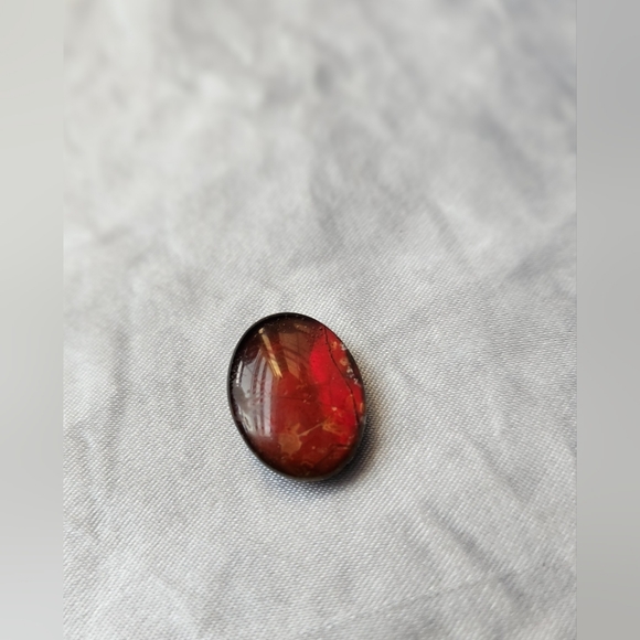 AMMOLITE - Picture 5 of 5
